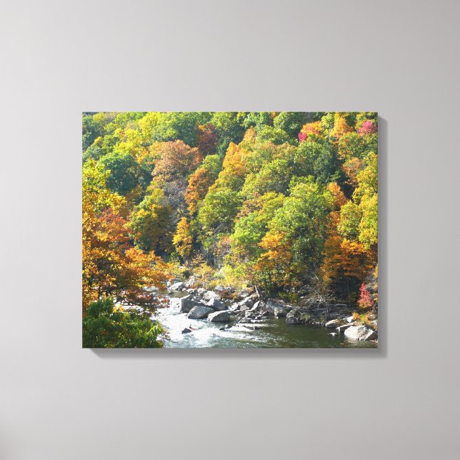 Fall Color at Ohiopyle State Park Canvas Print (Front)