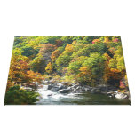 Fall Color at Ohiopyle State Park Canvas Print