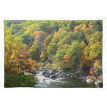 Fall Color at Ohiopyle State Park Cloth Placemat