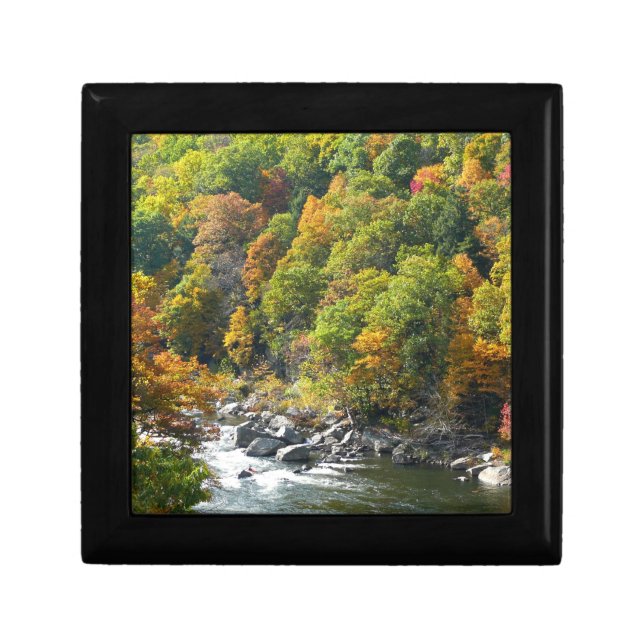 Fall Color at Ohiopyle State Park Gift Box (Front)