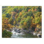 Fall Color at Ohiopyle State Park Jigsaw Puzzle