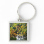 Fall Color at Ohiopyle State Park Keychain