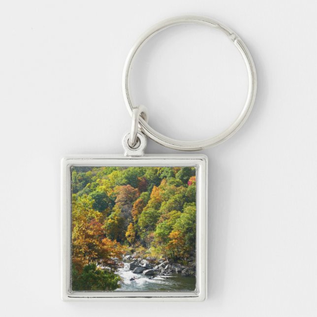 Fall Color at Ohiopyle State Park Keychain (Front)