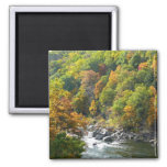 Fall Color at Ohiopyle State Park Magnet