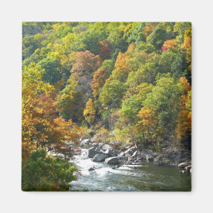 Fall Color at Ohiopyle State Park Magnet