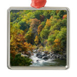Fall Color at Ohiopyle State Park Metal Ornament