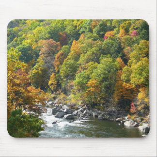Fall Color at Ohiopyle State Park Mouse Pad
