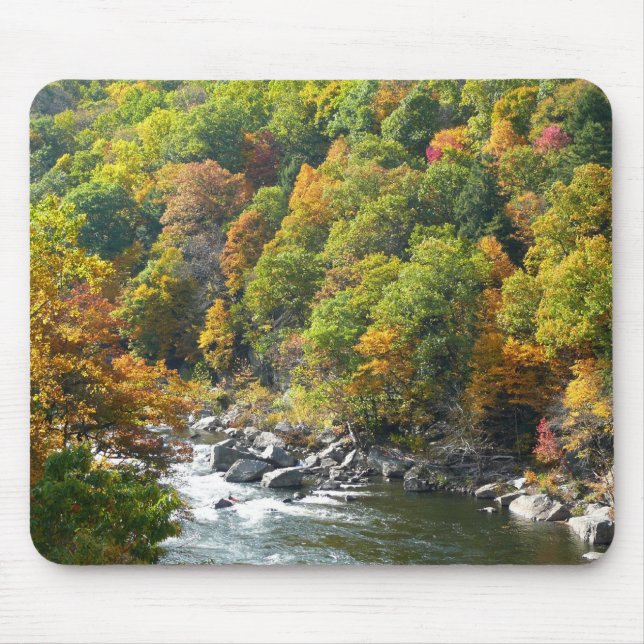 Fall Color at Ohiopyle State Park Mouse Pad (Front)