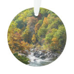 Fall Color at Ohiopyle State Park Ornament