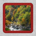 Fall Color at Ohiopyle State Park Patch