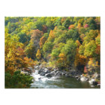 Fall Color at Ohiopyle State Park Photo Print