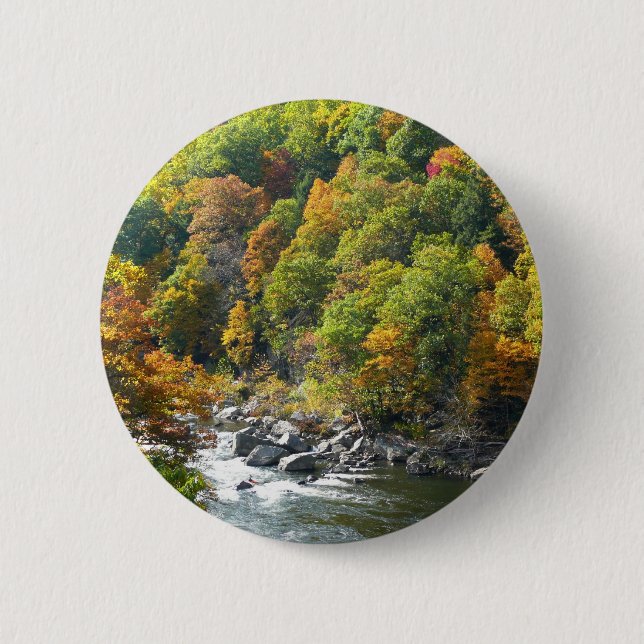 Fall Color at Ohiopyle State Park Pinback Button (Front)