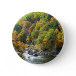 Fall Color at Ohiopyle State Park Pinback Button