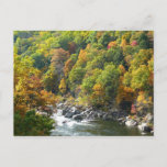 Fall Color at Ohiopyle State Park Postcard