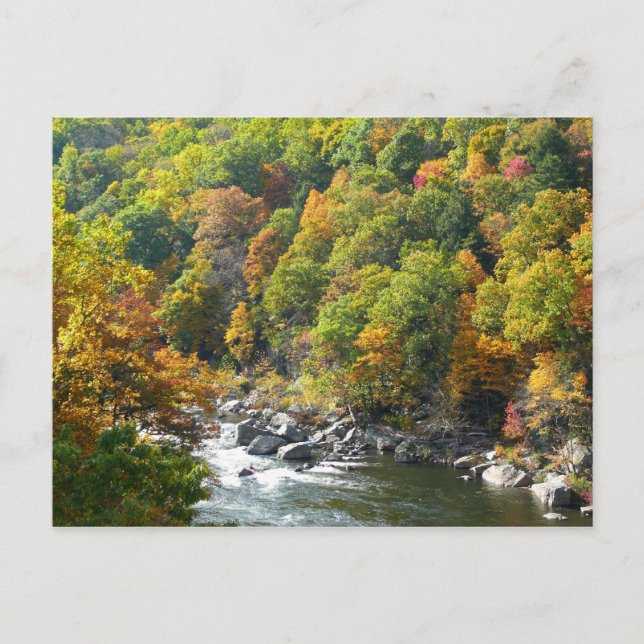 Fall Color at Ohiopyle State Park Postcard (Front)