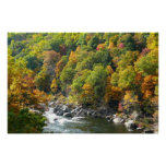 Fall Color at Ohiopyle State Park Poster
