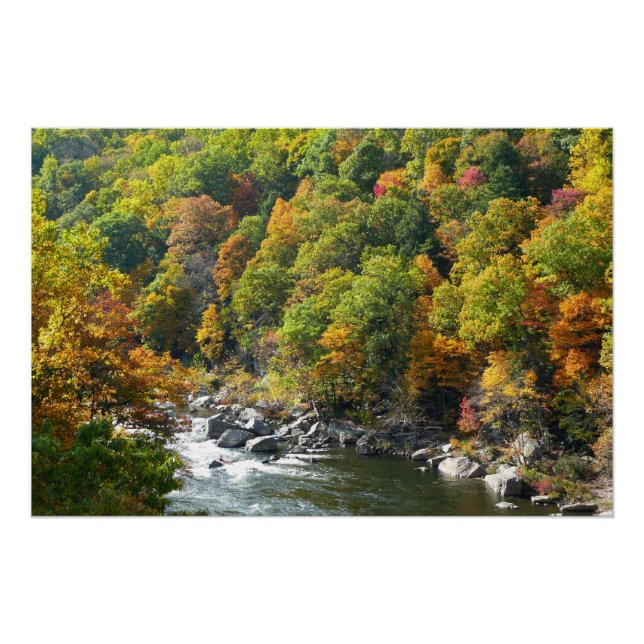 Fall Color at Ohiopyle State Park Poster (Front)