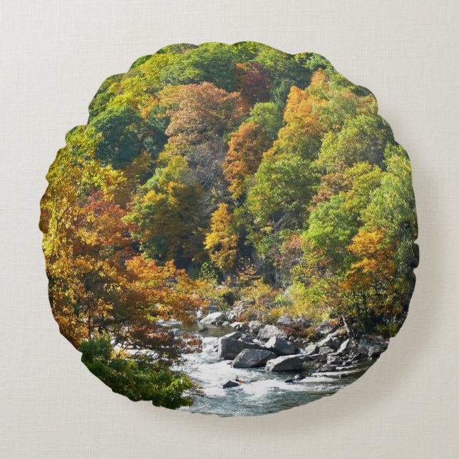 Fall Color at Ohiopyle State Park Round Pillow (Front)