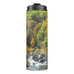 Fall Color at Ohiopyle State Park Thermal Tumbler