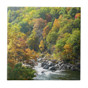 Fall Color at Ohiopyle State Park Tile