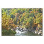 Fall Color at Ohiopyle State Park Tissue Paper