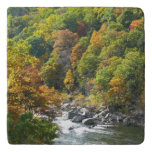 Fall Color at Ohiopyle State Park Trivet