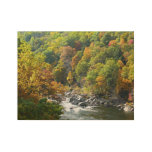 Fall Color at Ohiopyle State Park Wood Poster