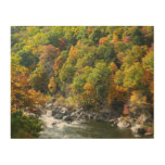 Fall Color at Ohiopyle State Park Wood Wall Art