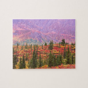 Fall color in Denali National Park Jigsaw Puzzle