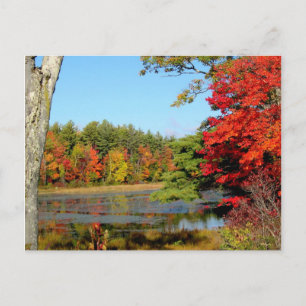 Fall Color In New England Postcard