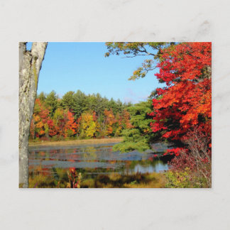 Fall Color In New England Postcard