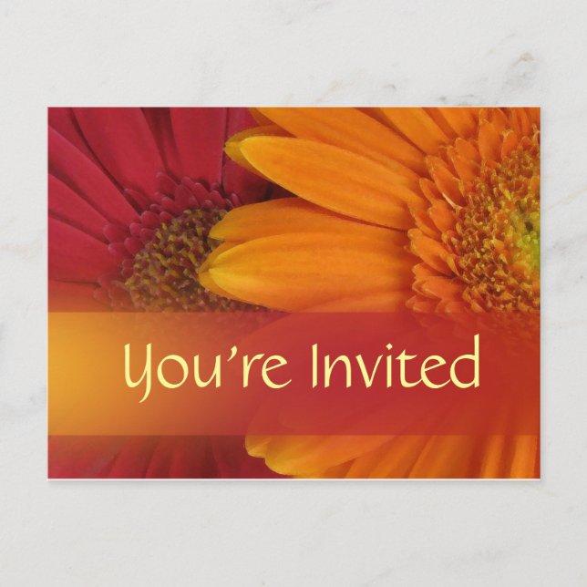 Fall color invitation postcard (Front)