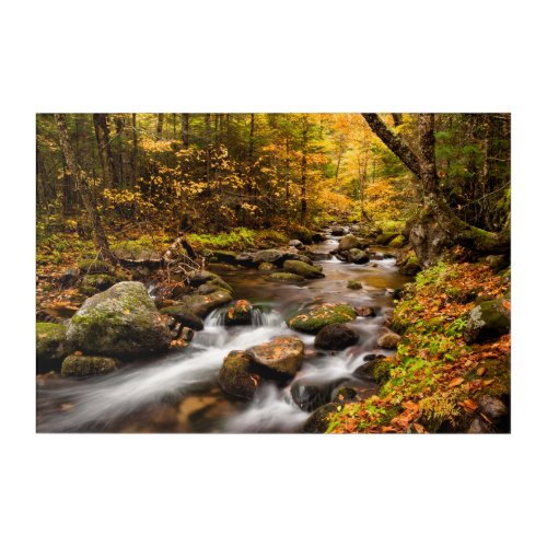 Fall Color Jefferson Brook  White Mountains Acrylic Print