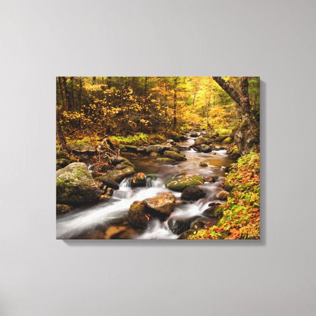 Fall Color Jefferson Brook | White Mountains Canvas Print (Front)