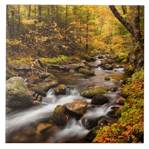 Fall Color Jefferson Brook  White Mountains Ceramic Tile