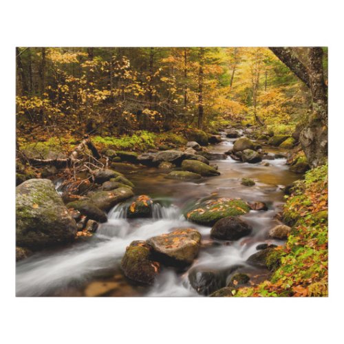 Fall Color Jefferson Brook  White Mountains Faux Canvas Print