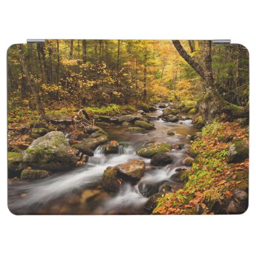 Fall Color Jefferson Brook  White Mountains iPad Air Cover