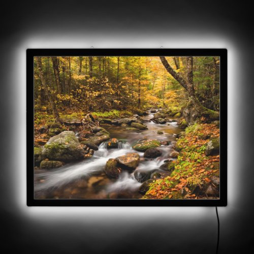 Fall Color Jefferson Brook  White Mountains LED Sign