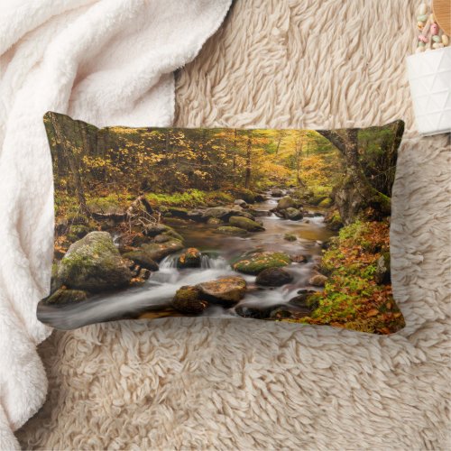 Fall Color Jefferson Brook  White Mountains Lumbar Pillow