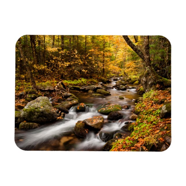 Fall Color Jefferson Brook | White Mountains Magnet (Horizontal)