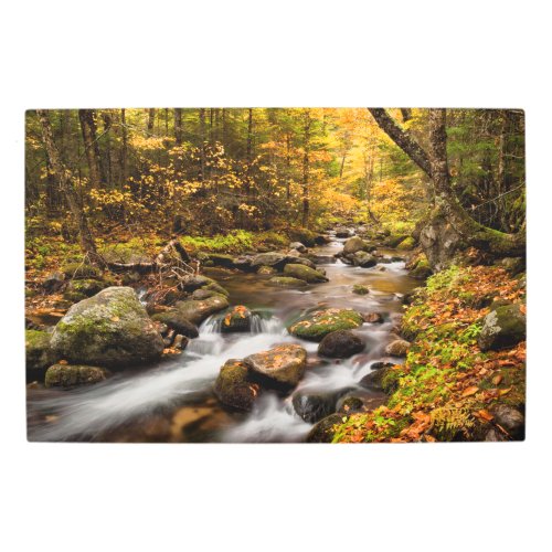 Fall Color Jefferson Brook  White Mountains Metal Print