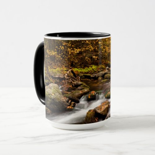 Fall Color Jefferson Brook  White Mountains Mug