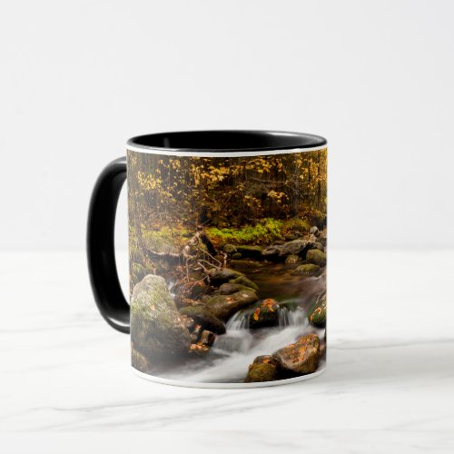 Fall Color Jefferson Brook  White Mountains Mug