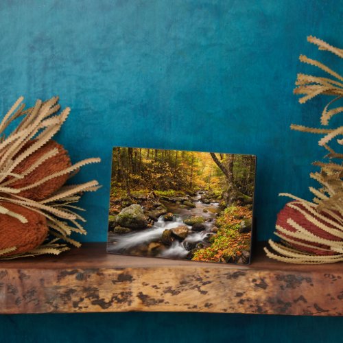 Fall Color Jefferson Brook  White Mountains Plaque