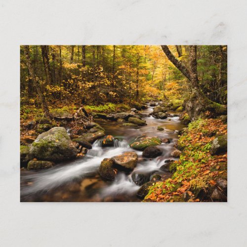 Fall Color Jefferson Brook  White Mountains Postcard