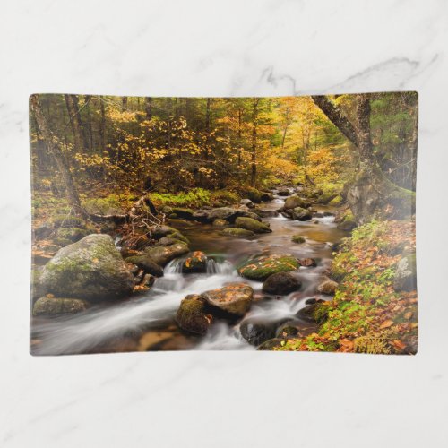 Fall Color Jefferson Brook  White Mountains Trinket Tray