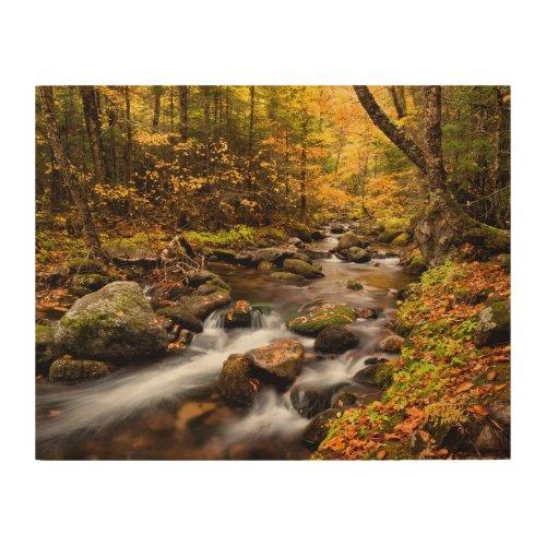 Fall Color Jefferson Brook  White Mountains Wood Wall Art