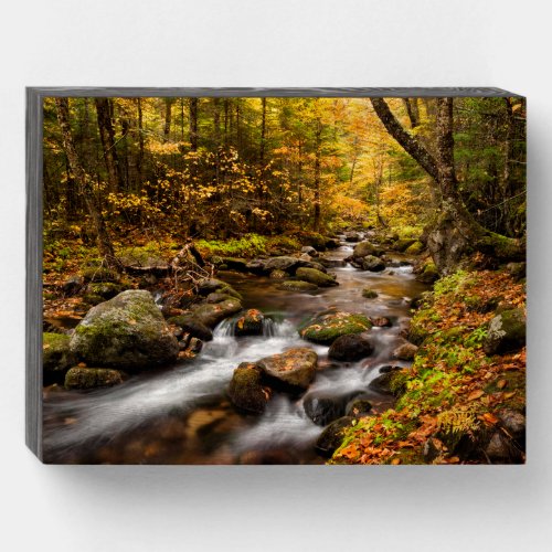 Fall Color Jefferson Brook  White Mountains Wooden Box Sign