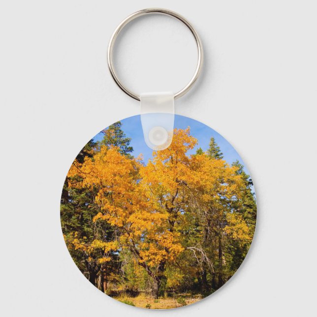 Fall Color Keychain 1 (Front)