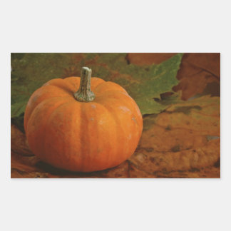 Fall Color Leaves Orange Pumpkin Sticker